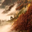 Foggy Autumn Morning Theme  screen for extension Chrome web store in OffiDocs Chromium