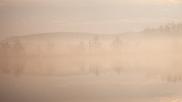 Free download fog trees lake morning mist mist free picture to be edited with GIMP free online image editor