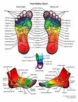 Free download Foot Reflex Chart Best free photo or picture to be edited with GIMP online image editor