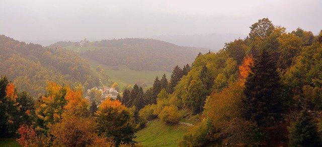 Free download forest autumn panorama free picture to be edited with GIMP free online image editor