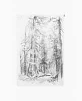 Free download Forest Interior (from Sketchbook X) free photo or picture to be edited with GIMP online image editor