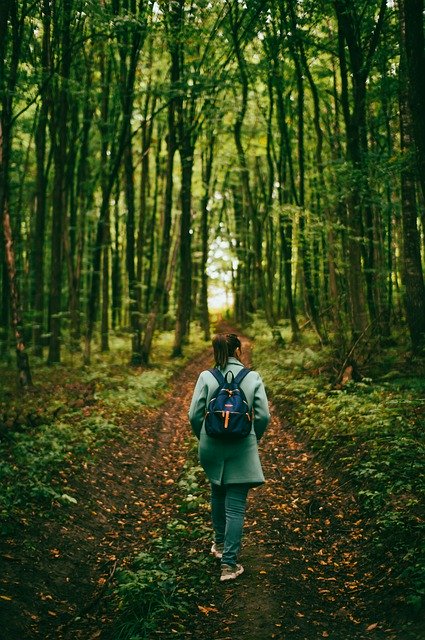 Free download forest nature woman stroll free picture to be edited with GIMP free online image editor