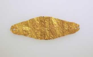 Free download Frontlet of gold leaf free photo or picture to be edited with GIMP online image editor