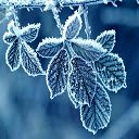 Frozen Leafs  screen for extension Chrome web store in OffiDocs Chromium