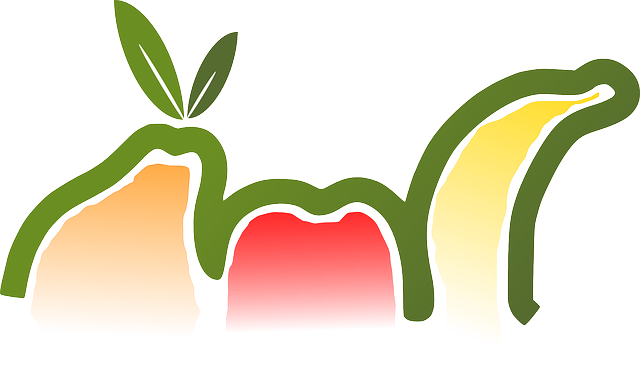 Free download Fruits Pear Apple - Free vector graphic on Pixabay free illustration to be edited with GIMP free online image editor