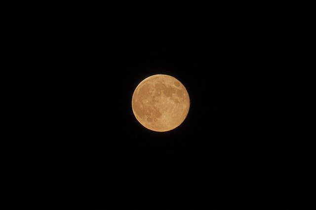 ດາວ​ໂຫຼດ​ຟຣີ Full Moon Nature Night - ຮູບ​ພາບ​ຟຣີ​ຫຼື​ຮູບ​ພາບ​ທີ່​ຈະ​ໄດ້​ຮັບ​ການ​ແກ້​ໄຂ​ກັບ GIMP ອອນ​ໄລ​ນ​໌​ບັນ​ນາ​ທິ​ການ​ຮູບ​ພາບ​