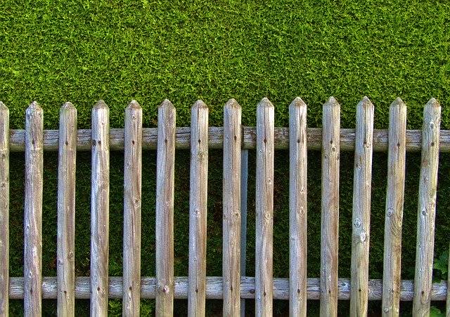 Descarga gratuita Garden Fence Wood Battens Thuya - foto o imagen gratuitas para editar con el editor de imágenes en línea GIMP