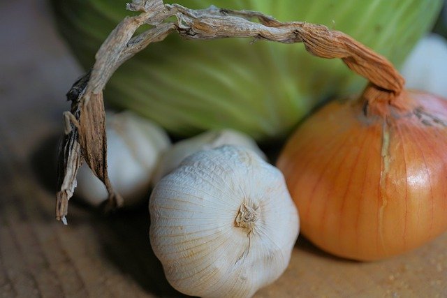 Free download garlic onion herb vegetables cook free picture to be edited with GIMP free online image editor