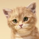 Schermata Gentle Kitten per estensione Chrome web store in OffiDocs Chromium