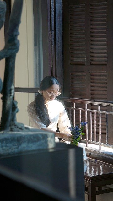 Free download girl flower aodai vietnam hanoi free picture to be edited with GIMP free online image editor