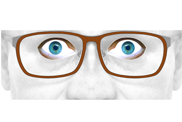 Free download Glasses Eyes Photomontage -  free illustration to be edited with GIMP free online image editor