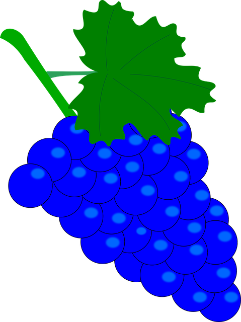 Free download Grape Vintage Wine - Free vector graphic on Pixabay free illustration to be edited with GIMP free online image editor