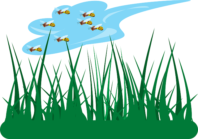 Free download Grass Green Garden - Free vector graphic on Pixabay free illustration to be edited with GIMP free online image editor