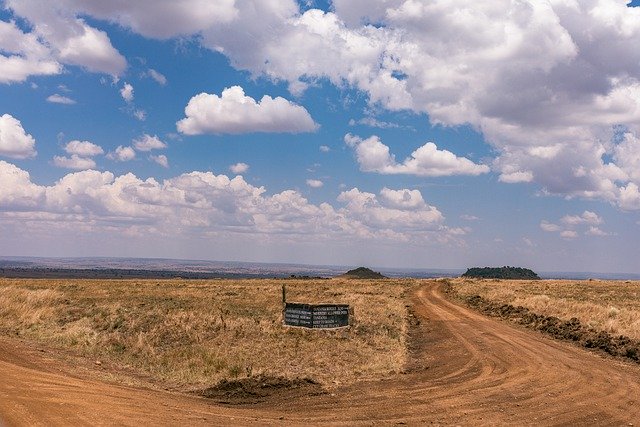 Free download grassland field safari savannah free picture to be edited with GIMP free online image editor