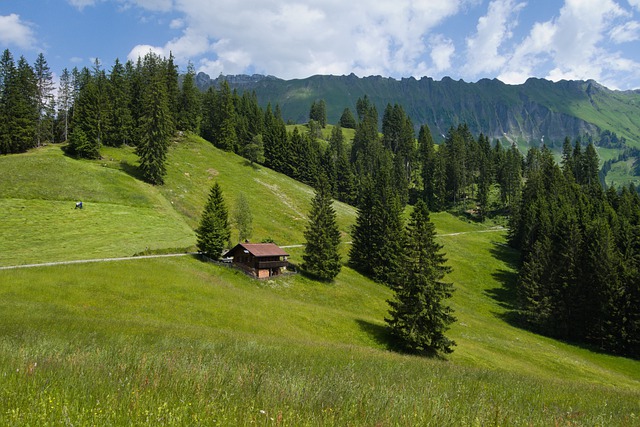 Free download green mountains field switzerland free picture to be edited with GIMP free online image editor