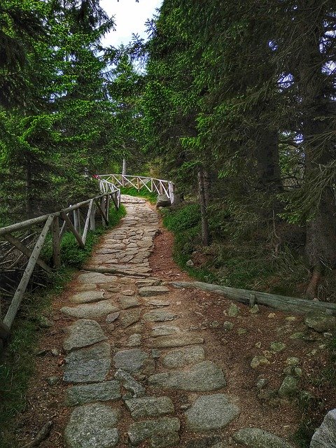 تنزيل مجاني لـ Green Nature The Silence - صورة مجانية أو صورة يمكن تعديلها باستخدام محرر الصور عبر الإنترنت GIMP