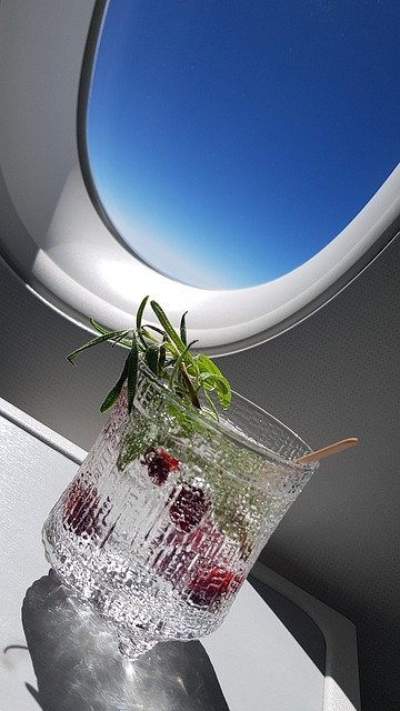 免费下载 GT Gin And Tonic Finnair Business - 可使用 GIMP 在线图像编辑器编辑的免费照片或图片