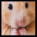 Happy Little Hamster  screen for extension Chrome web store in OffiDocs Chromium