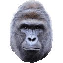 OffiDocs Chromium の拡張機能 Chrome ウェブストアの Harambes Toolkit 画面