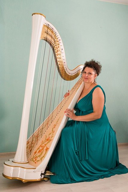 دانلود رایگان Harp Harpist Musician - عکس یا تصویر رایگان قابل ویرایش با ویرایشگر تصویر آنلاین GIMP