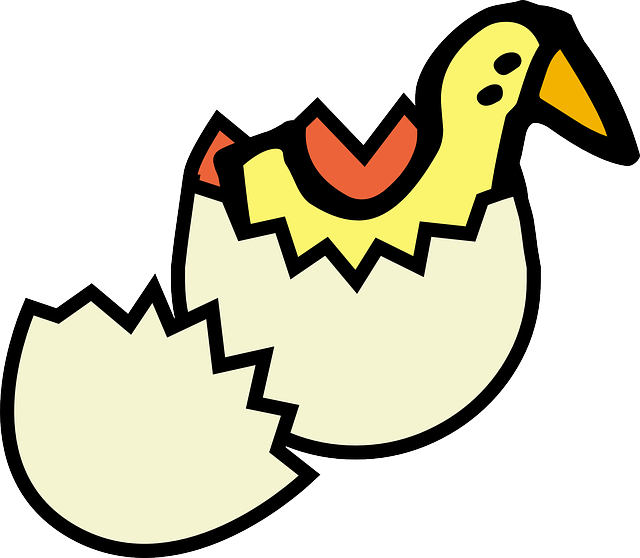 Free download Hatching Duckling Yellow - Free vector graphic on Pixabay free illustration to be edited with GIMP free online image editor