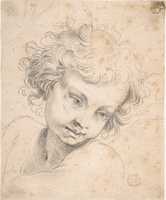 Free download Head of a Child, copy of engraving by Luca Ciambulano free photo or picture to be edited with GIMP online image editor