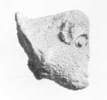 Free download Head of Sheep(?) free photo or picture to be edited with GIMP online image editor