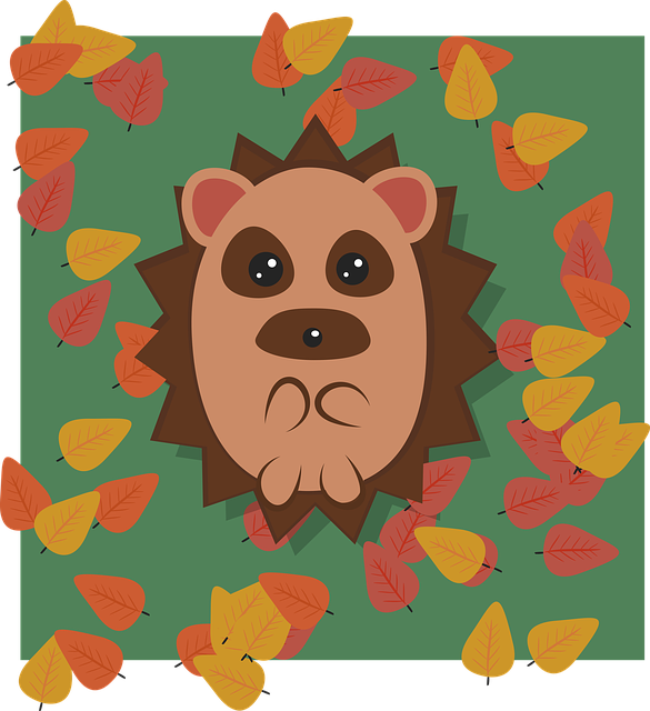 Free download Hedgehog Animal Cute -  free illustration to be edited with GIMP free online image editor