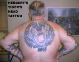 Free download Herbert Bookers Tiger Head Tattoo free photo or picture to be edited with GIMP online image editor