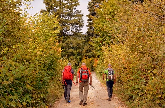 Free download hiking walk autumn trail trees free picture to be edited with GIMP free online image editor