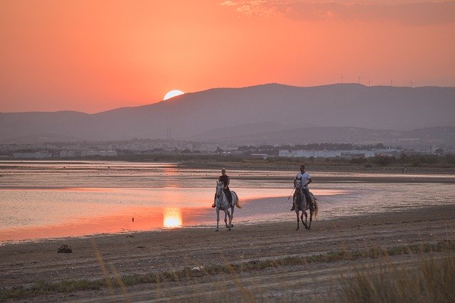 Free download horseback riding free picture to be edited with GIMP free online image editor