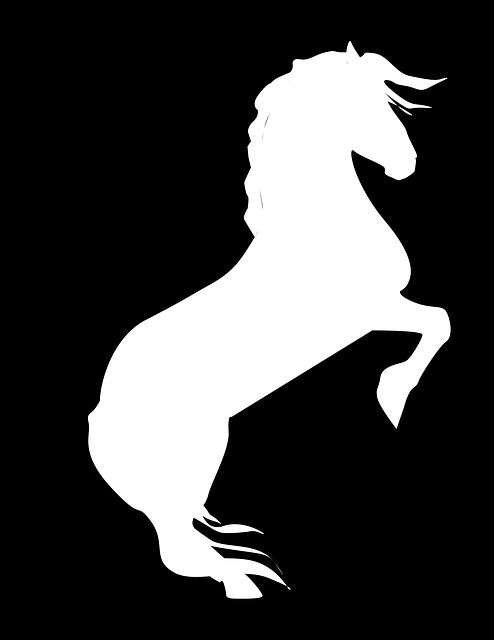 Free download Horse Black On White And -  free illustration to be edited with GIMP free online image editor