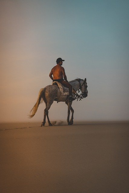 Free download horse man beach horseback riding free picture to be edited with GIMP free online image editor