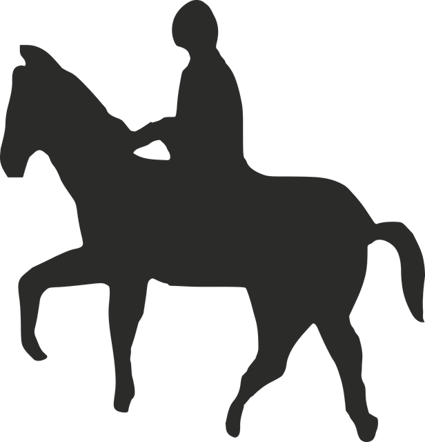 Free download Horse Man Riding - Free vector graphic on Pixabay free illustration to be edited with GIMP free online image editor