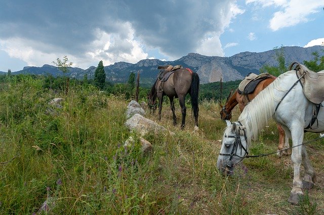 Free download horse mountains ay petri landscape free picture to be edited with GIMP free online image editor