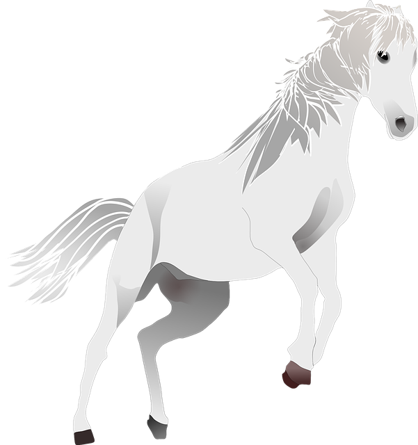 Free download Horse Pony Standard - Free vector graphic on Pixabay free illustration to be edited with GIMP free online image editor