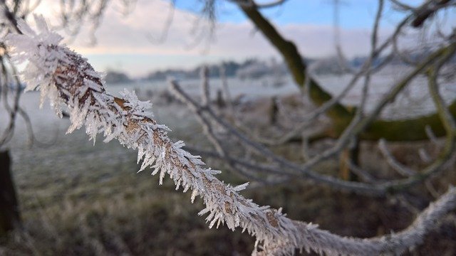 Kostenloser Download der kostenlosen Eis-Wintermorgen-Fotovorlage, die mit dem GIMP-Online-Bildeditor bearbeitet werden kann