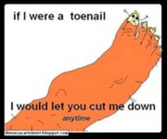 Free download If I Were A Toenail  free photo or picture to be edited with GIMP online image editor