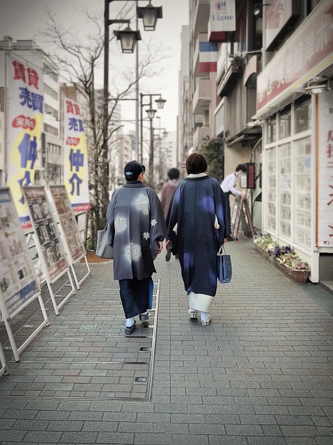 Free download ikenohata japan sidewalk kimono free picture to be edited with GIMP free online image editor