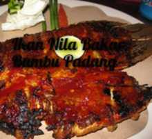 Free download Ikn Nila free photo or picture to be edited with GIMP online image editor