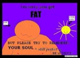 Free download Im Sorry You Got Fat  free photo or picture to be edited with GIMP online image editor