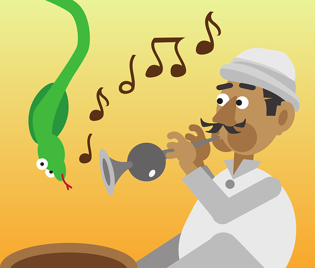 Free download India Snake Music - Free vector graphic on Pixabay free illustration to be edited with GIMP free online image editor