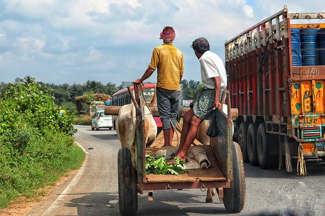 Free download india traffic ox cart truck road free picture to be edited with GIMP free online image editor