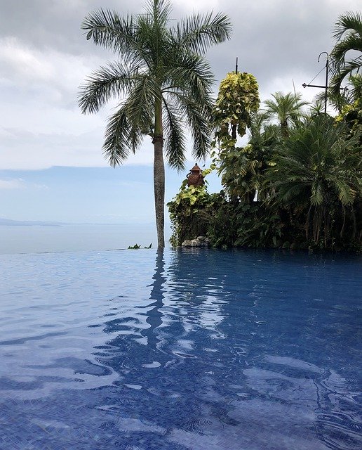 تنزيل مجاني Infinity Pool Costa Rica Palm Tree - صورة مجانية أو صورة ليتم تحريرها باستخدام محرر الصور عبر الإنترنت GIMP