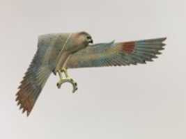 Free download Inlay Depicting a Falcon with Spread Wings free photo or picture to be edited with GIMP online image editor