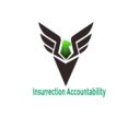 Insurrection Accountability  screen for extension Chrome web store in OffiDocs Chromium