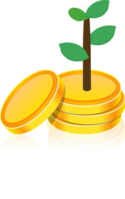 Free download Investment Gold Coin - Free vector graphic on Pixabay free illustration to be edited with GIMP free online image editor