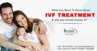 Free download IVF Treatment in Chandigarh | IVF Treatment in Mohali - Cosmo Hospital free photo or picture to be edited with GIMP online image editor