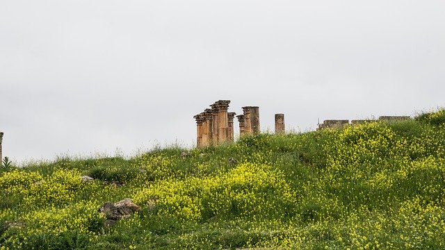 Bezpłatne pobieranie Jerash Ruins Jordan - darmowe zdjęcie lub obraz do edycji za pomocą internetowego edytora obrazów GIMP