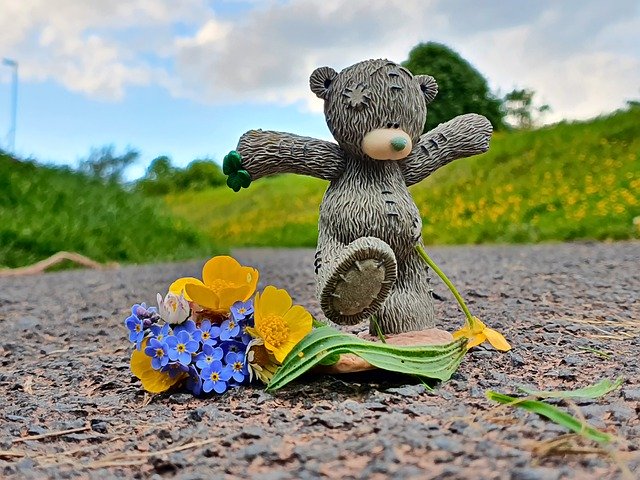 Free download joy walk me to you bear nature fun free picture to be edited with GIMP free online image editor